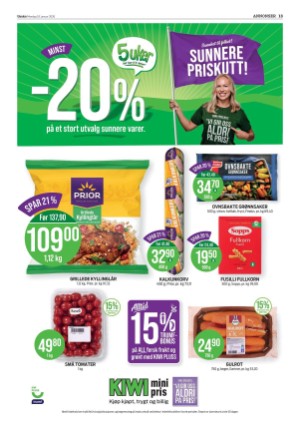 varden-20260119_000_00_00_013.pdf