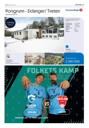 varden-20260306_000_00_00_015.pdf