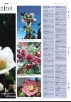 varden_bolig-20080116_000_00_00_005.pdf