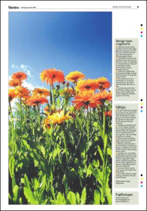 varden_bolig-20090128_000_00_00_003.pdf