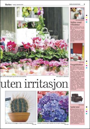 varden_bolig-20100901_000_00_00_003.pdf