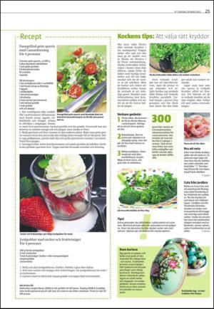 varmlandsfolkblad-20130328_000_00_00_025.pdf