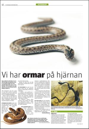 varmlandsfolkblad-20131030_000_00_00_012.pdf