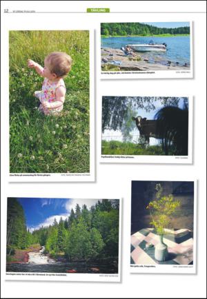 varmlandsfolkblad-20140719_000_00_00_012.pdf