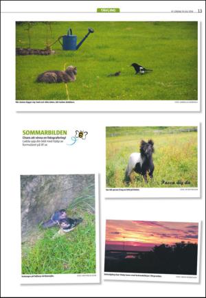 varmlandsfolkblad-20140719_000_00_00_013.pdf