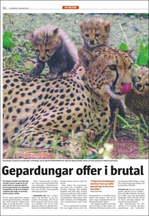 varmlandsfolkblad-20160104_000_00_00_014.pdf