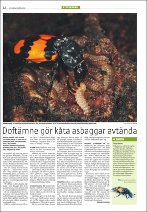 varmlandsfolkblad-20160402_000_00_00_012.pdf