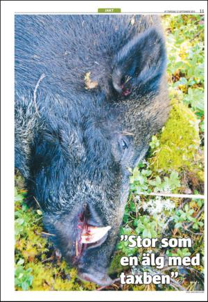 varmlandsfolkblad_bilag-20130912_000_00_00_011.pdf