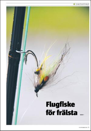 varmlandsfolkblad_bilag-20140911_000_00_00_011.pdf