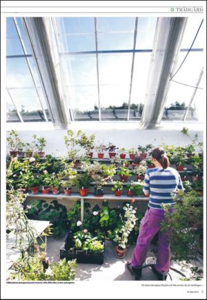 varmlandsfolkblad_bilag-20150507_000_00_00_005.pdf