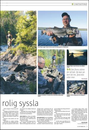 varmlandsfolkblad_bilag-20150903_000_00_00_005.pdf