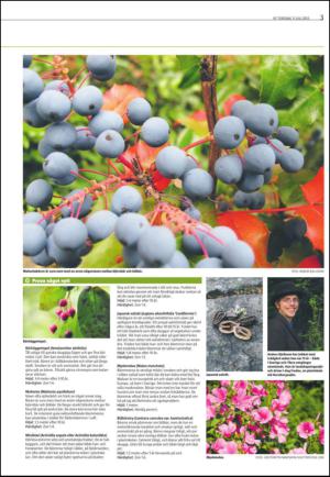 varmlandsfolkblad_del2-20130711_000_00_00_003.pdf