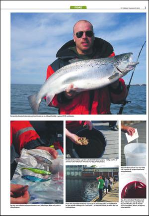 varmlandsfolkblad_del2-20130831_000_00_00_007.pdf