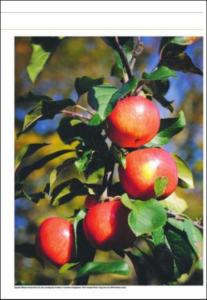 varmlandsfolkblad_del2-20130905_000_00_00_003.pdf