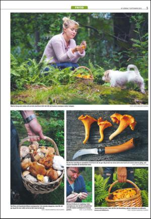 varmlandsfolkblad_del2-20130907_000_00_00_005.pdf