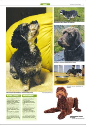 varmlandsfolkblad_del2-20140111_000_00_00_003.pdf