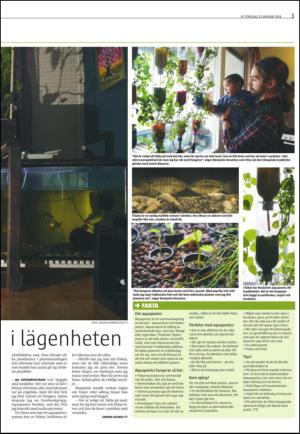 varmlandsfolkblad_del2-20140123_000_00_00_003.pdf
