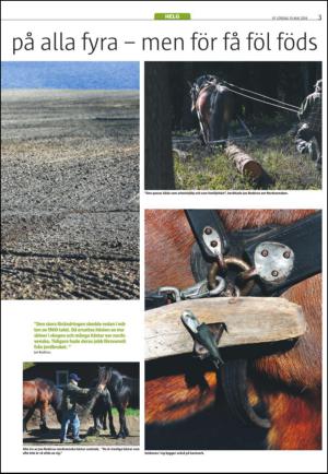varmlandsfolkblad_del2-20140510_000_00_00_003.pdf