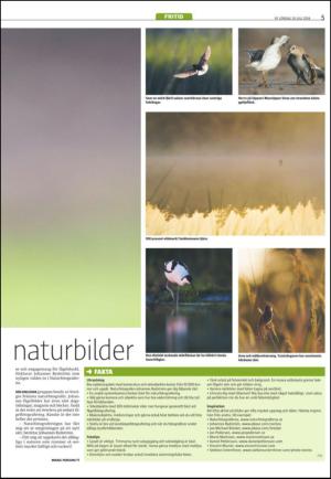 varmlandsfolkblad_del2-20140726_000_00_00_005.pdf