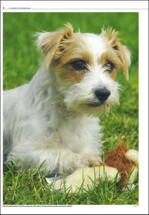 varmlandsfolkblad_del2-20140913_000_00_00_002.pdf