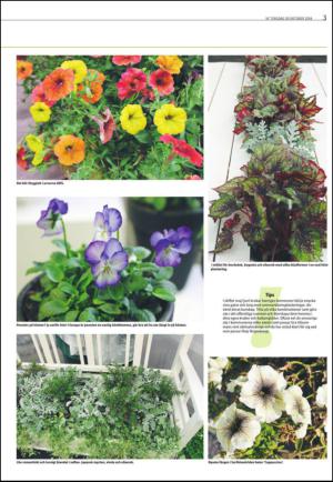 varmlandsfolkblad_del2-20141030_000_00_00_003.pdf