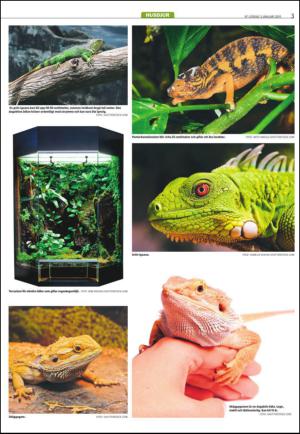 varmlandsfolkblad_del2-20150103_000_00_00_003.pdf