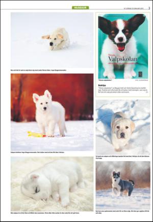 varmlandsfolkblad_del2-20150110_000_00_00_003.pdf