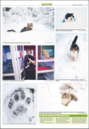 varmlandsfolkblad_del2-20150117_000_00_00_003.pdf