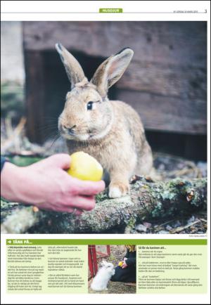 varmlandsfolkblad_del2-20150314_000_00_00_003.pdf