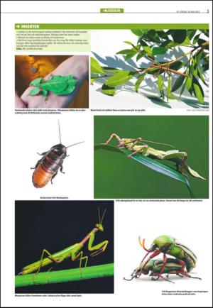 varmlandsfolkblad_del2-20150530_000_00_00_003.pdf