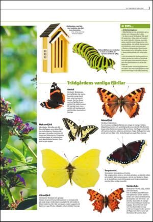 varmlandsfolkblad_del2-20150611_000_00_00_003.pdf