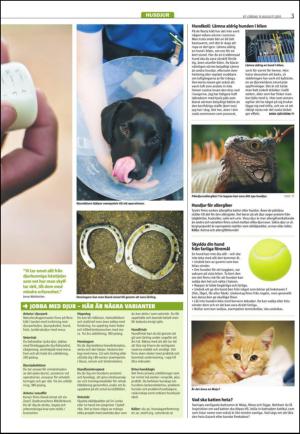 varmlandsfolkblad_del2-20150815_000_00_00_003.pdf