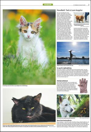 varmlandsfolkblad_del2-20150822_000_00_00_003.pdf