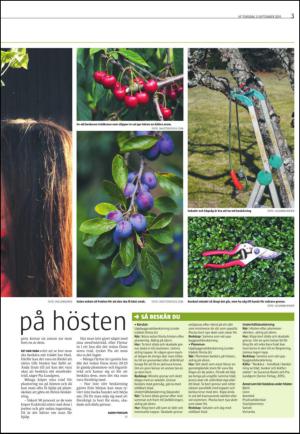 varmlandsfolkblad_del2-20150903_000_00_00_003.pdf