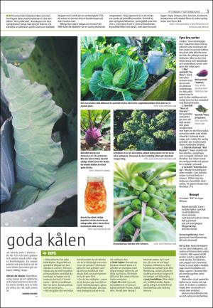 varmlandsfolkblad_del2-20150917_000_00_00_003.pdf