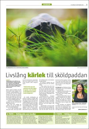 varmlandsfolkblad_del2-20150919_000_00_00_005.pdf