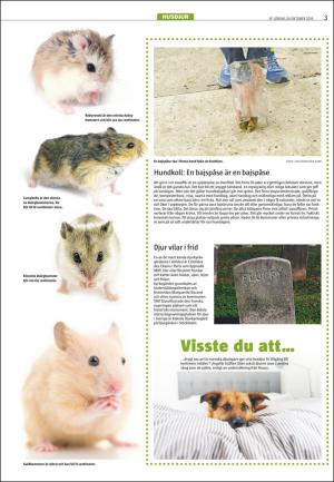 varmlandsfolkblad_del2-20151024_000_00_00_003.pdf