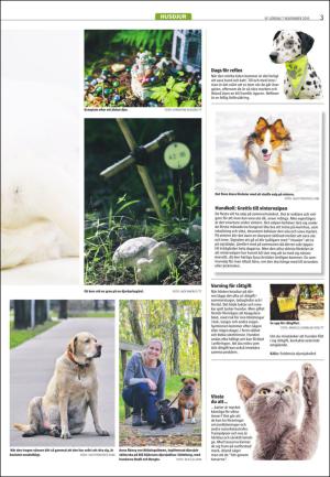 varmlandsfolkblad_del2-20151107_000_00_00_003.pdf