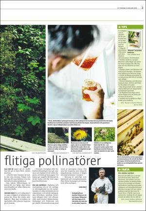 varmlandsfolkblad_del2-20160121_000_00_00_003.pdf