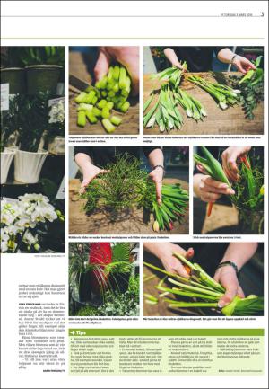 varmlandsfolkblad_del2-20160303_000_00_00_003.pdf