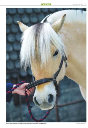 varmlandsfolkblad_del2-20160604_000_00_00_003.pdf