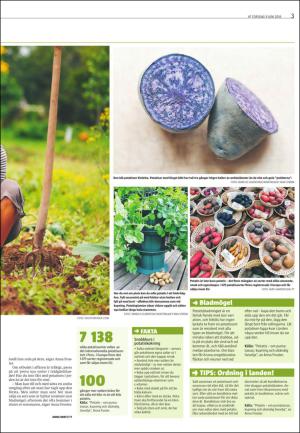 varmlandsfolkblad_del2-20160609_000_00_00_003.pdf