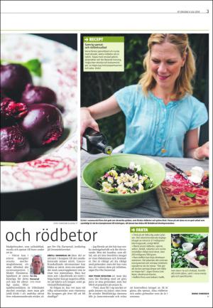 varmlandsfolkblad_del2-20160706_000_00_00_003.pdf