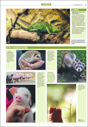 varmlandsfolkblad_del2-20160709_000_00_00_003.pdf