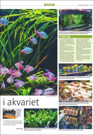 varmlandsfolkblad_del2-20160716_000_00_00_003.pdf