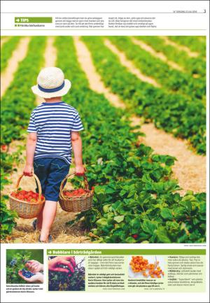 varmlandsfolkblad_del2-20160721_000_00_00_003.pdf