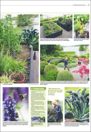 varmlandsfolkblad_del2-20160818_000_00_00_003.pdf