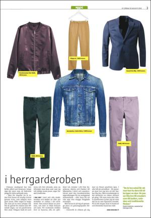 varmlandsfolkblad_del2-20160820_000_00_00_003.pdf