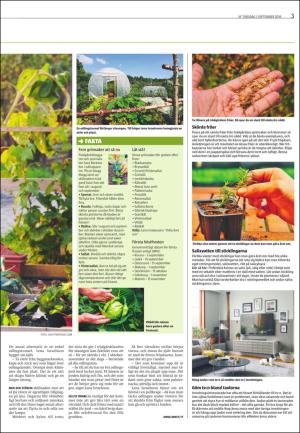 varmlandsfolkblad_del2-20160901_000_00_00_003.pdf