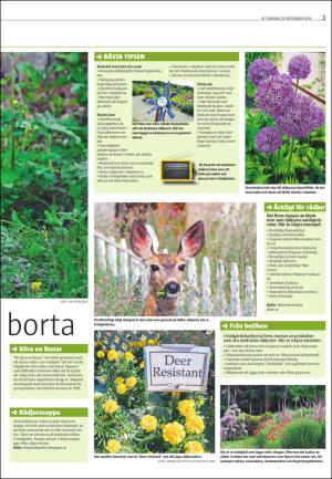 varmlandsfolkblad_del2-20160929_000_00_00_003.pdf